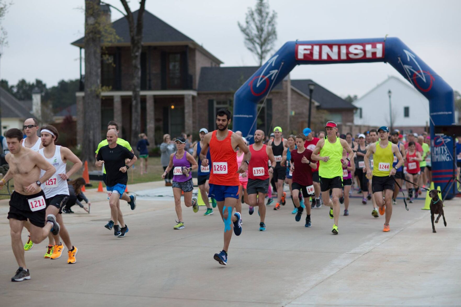 HEELS UP HALF MARATHON WITH THE HUB IN PROVENANCE